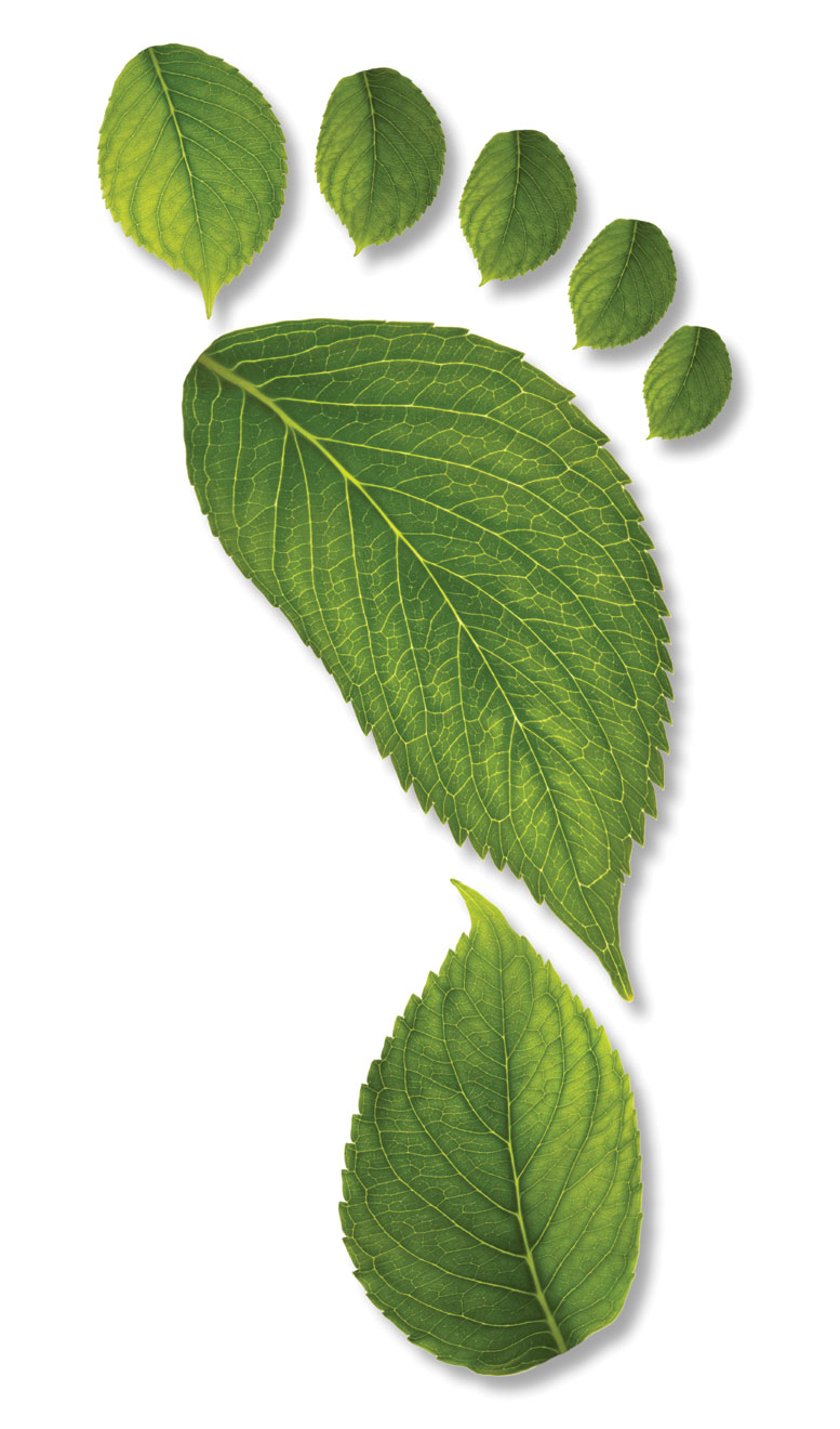 Pw 1884 Green Foot Print