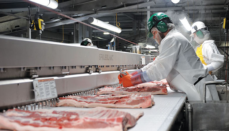 More than 800 employees currently work on one shift at Clemens Food Group&rsquo;s massive new hog processing facility in Coldwater, Michigan. Photo by Mike Gorecki.