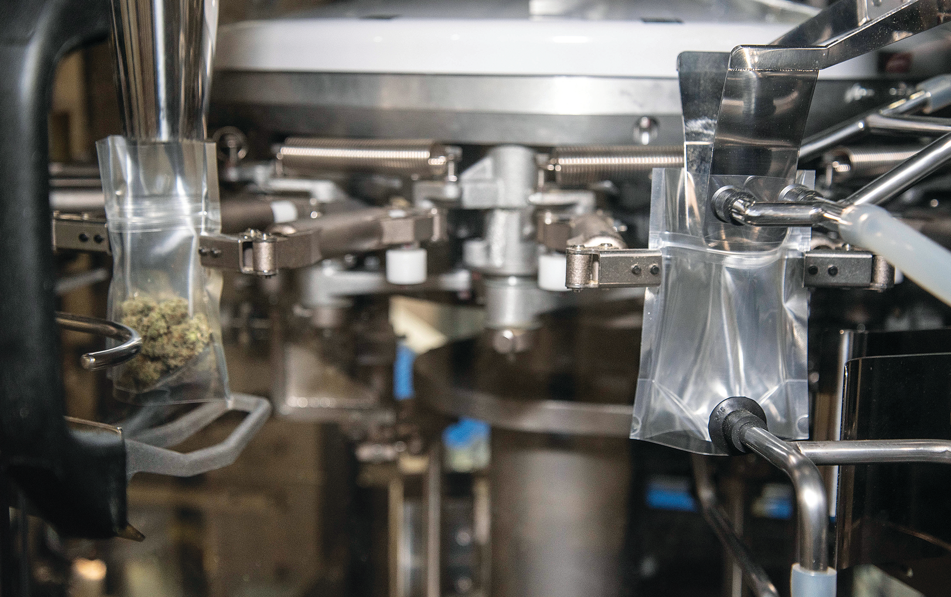 Pre-labeled pouches, seen here from their transparent backs, are being opened and filled in the GP-M3000 before being vibrated to settle the buds, then heat-sealed.