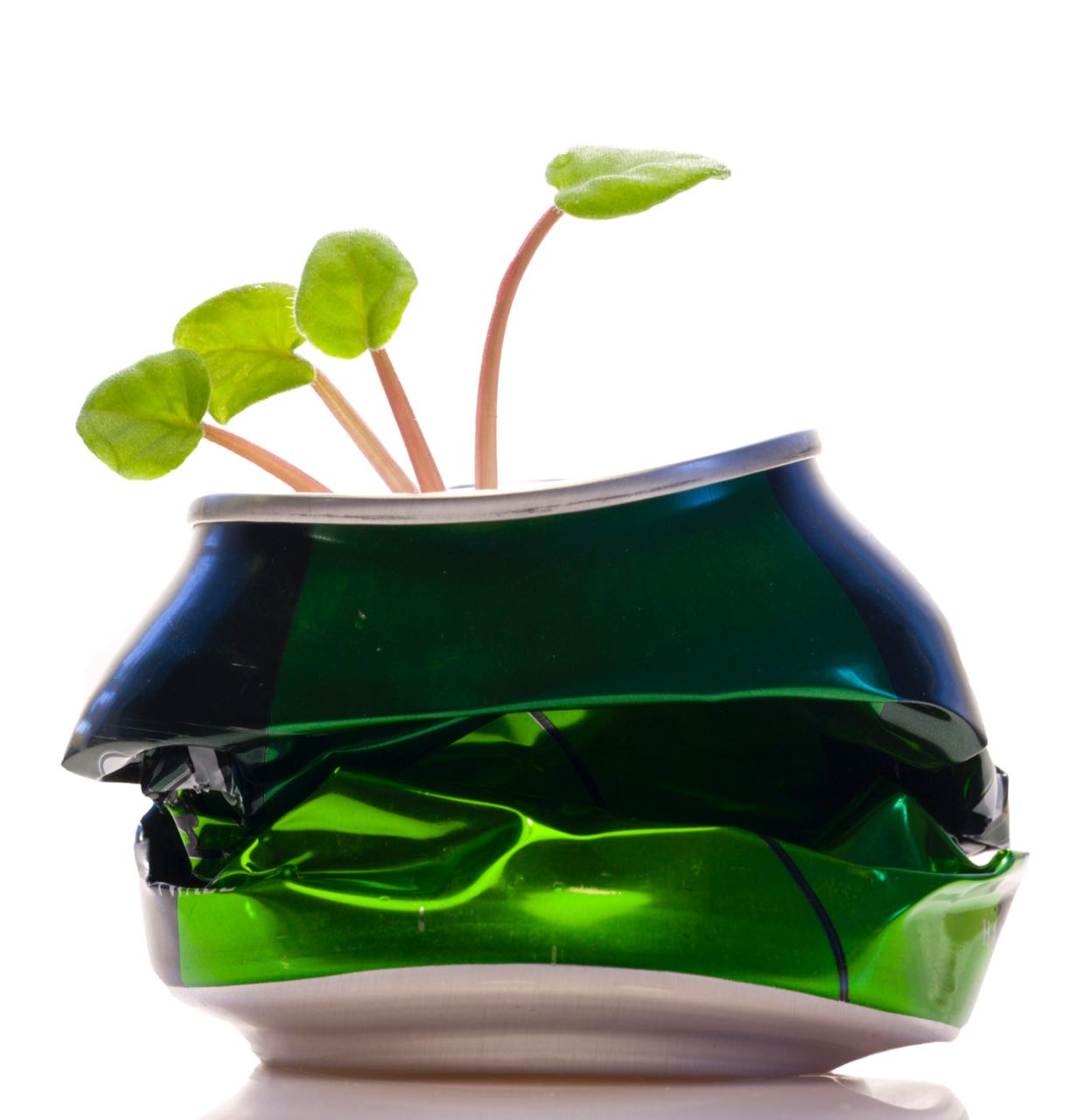 Getty Images Sustainability Can (1)