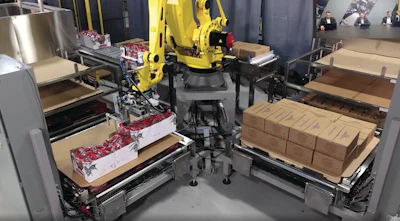 Image #8 in the article text.