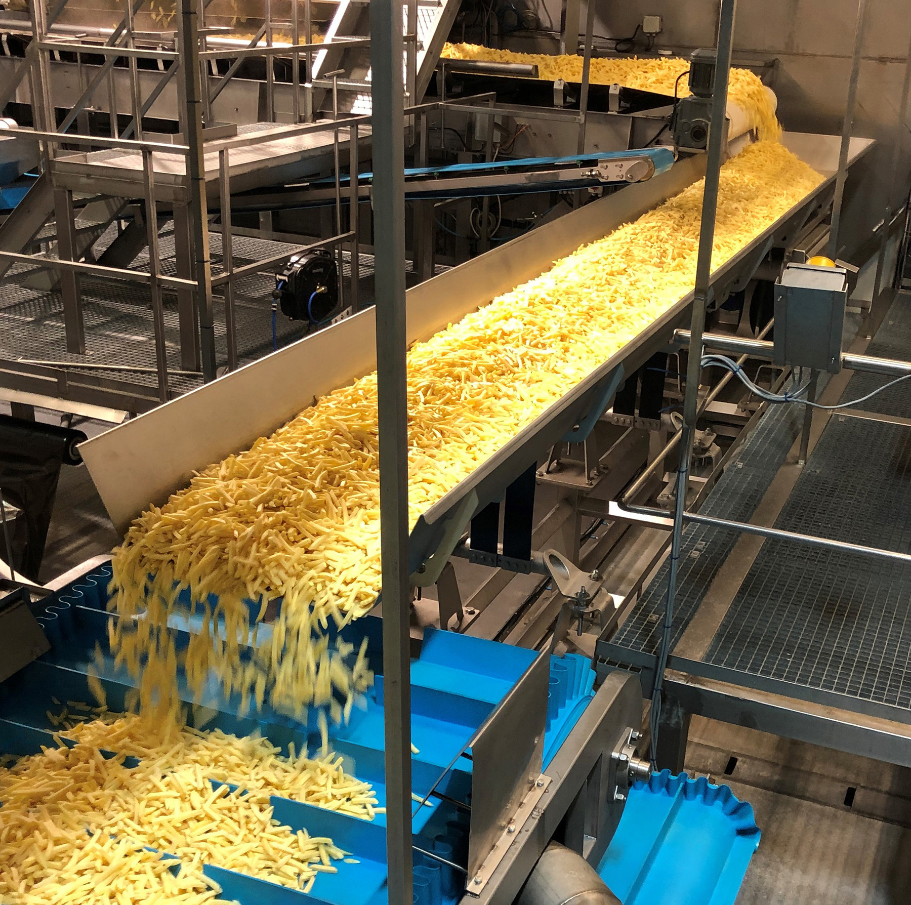 Key Technology&rsquo;s Zephyr horizontal-motion conveyor minimizes bounce to reduce product damage, noise, and loss of seasoning.