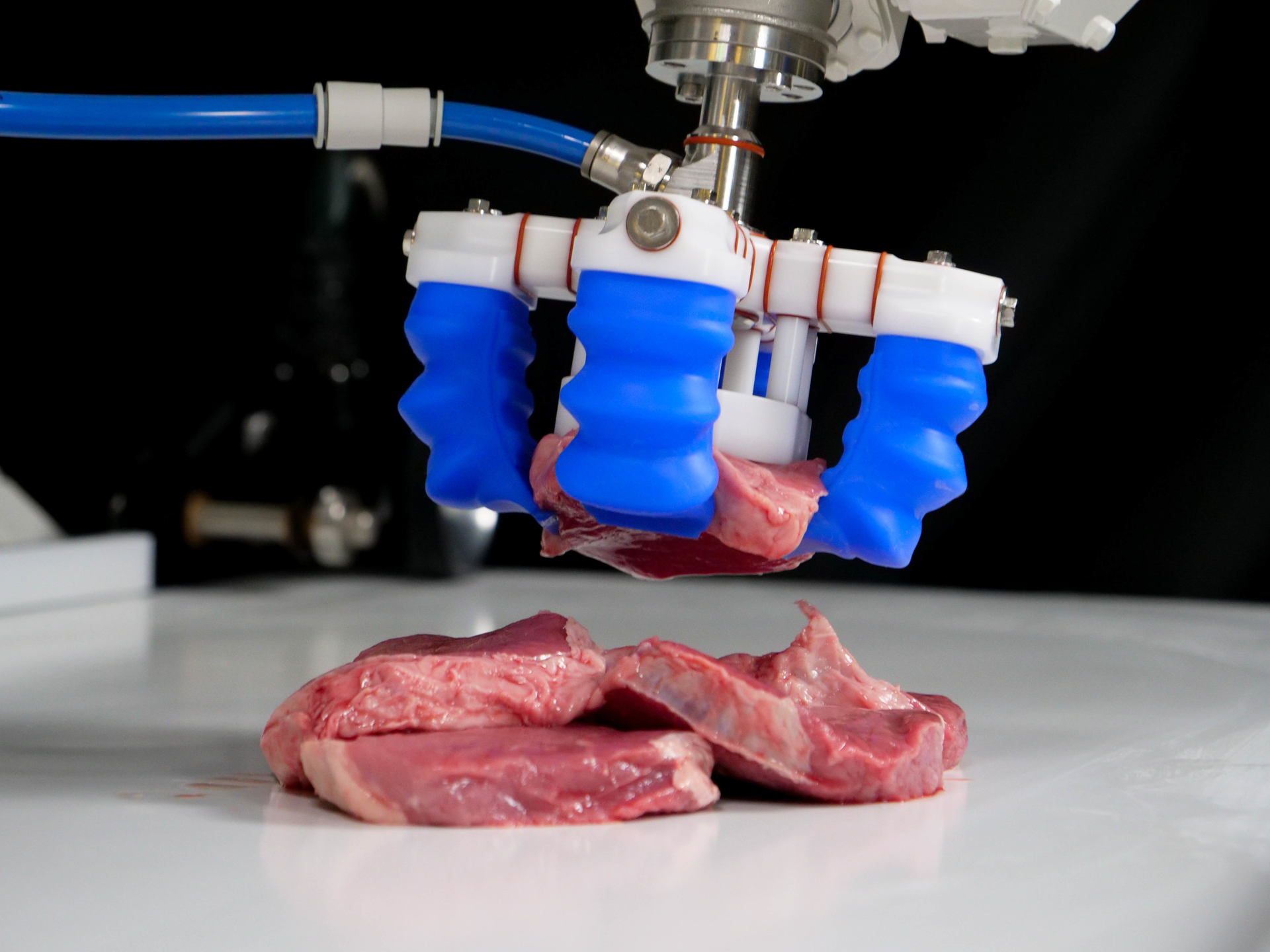 Soft Robotics&rsquo; mGripAI software incorporates proprietary 3D vision, AI, and soft-grasping technology to pick, place, and sort delicate, variable, and bulk food products.