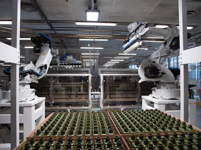 The automated depalletizing solution features two Comau NJ-40 six-axis articulated robots.