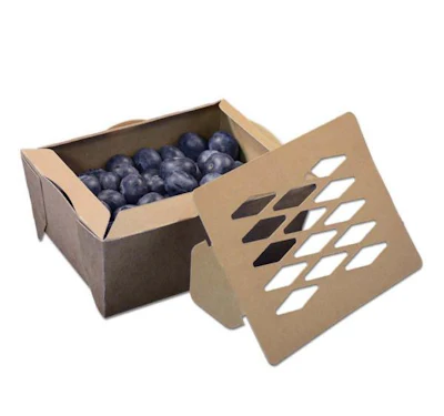 Fonkels fruit tray made from recycled paperboard.