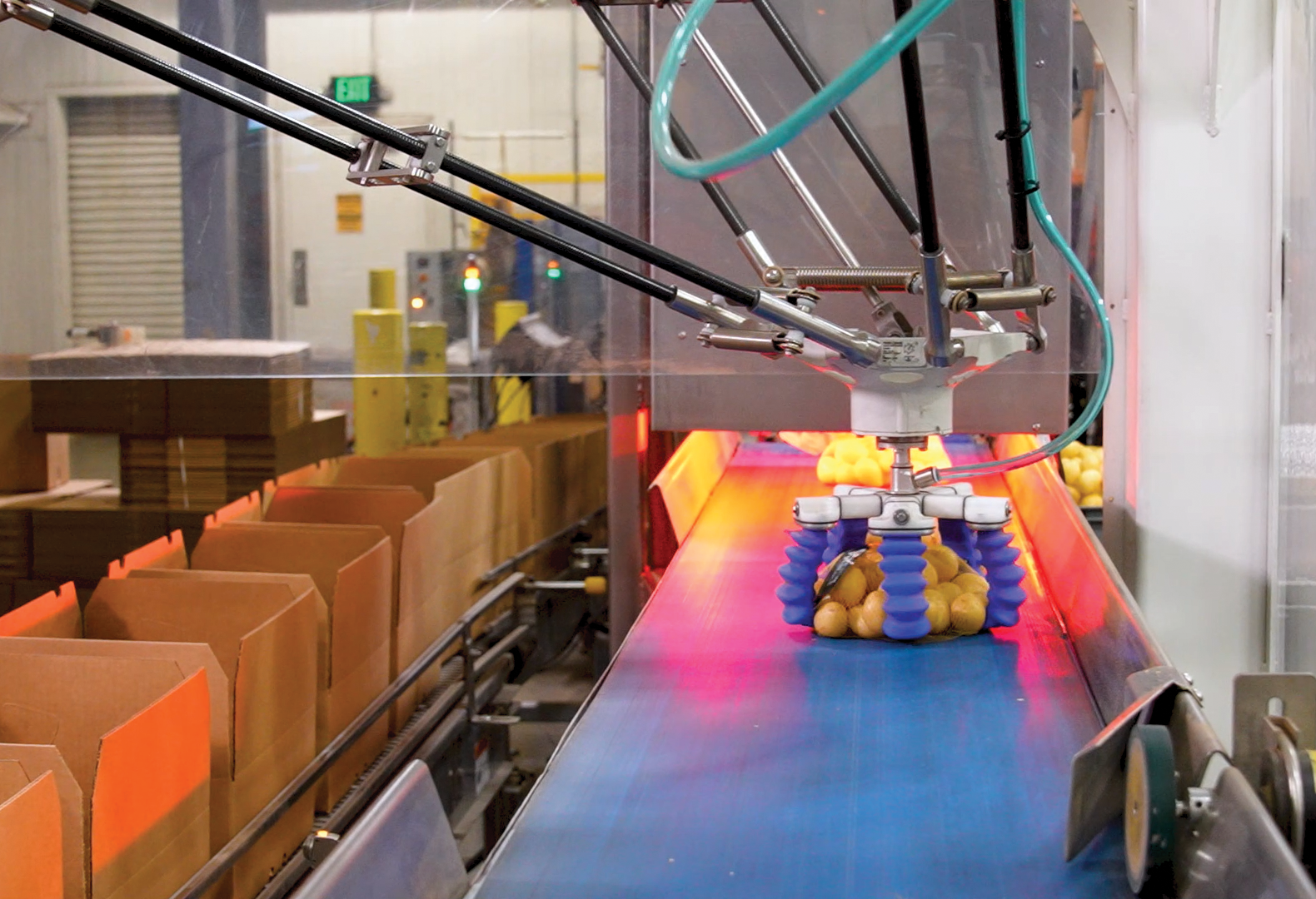 Potatoes robot gripper