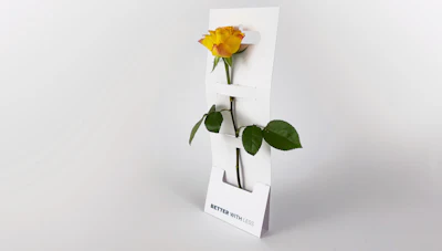 F’lover by Mine Koca