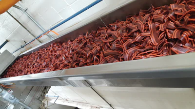 Bacon-shaped dog treats like these start their processing journey as a mix of ingredients in an extruder before they’re shaped and further processed into retail-ready snacks.