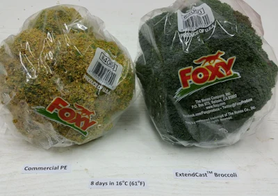 Zeltzer_1_Sustainable_Packaging