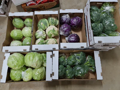 BrimaPack Sustainable Packaging