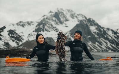 Tamara Singer (left) and Angelita Eriksen (right) co-founded Lofoten Seaweed back in 2016.