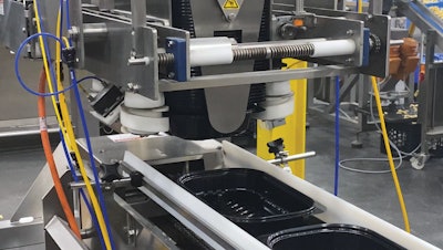 The servo-driven tray denester on the ready meals line handles two tray sizes, dropping trays single-file onto a stainless steel lugged conveyor that indexes them forward.