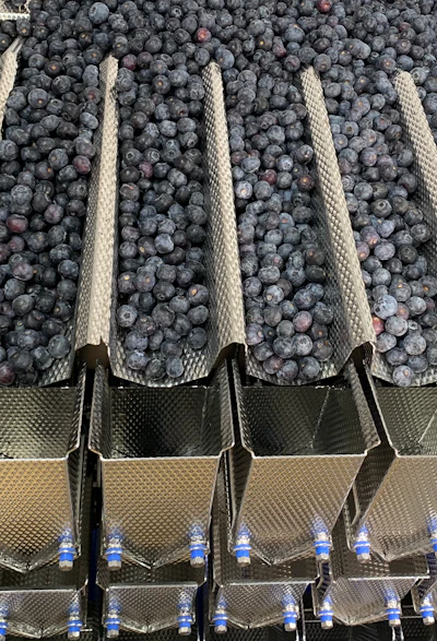 Newtec Weighing Machine Blueberries 2008 Pcm Memory Pans