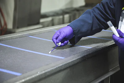 Food inspection audit swab