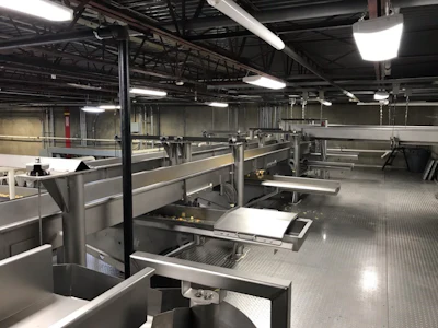 Snack manufacturing conveyors