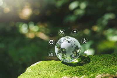 Getty Images 2150911282