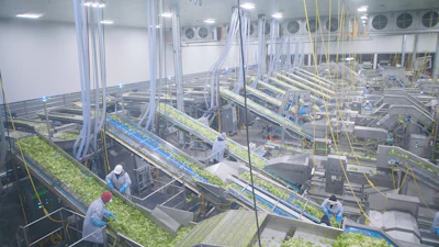 Taylor Farms Lettuce Processing