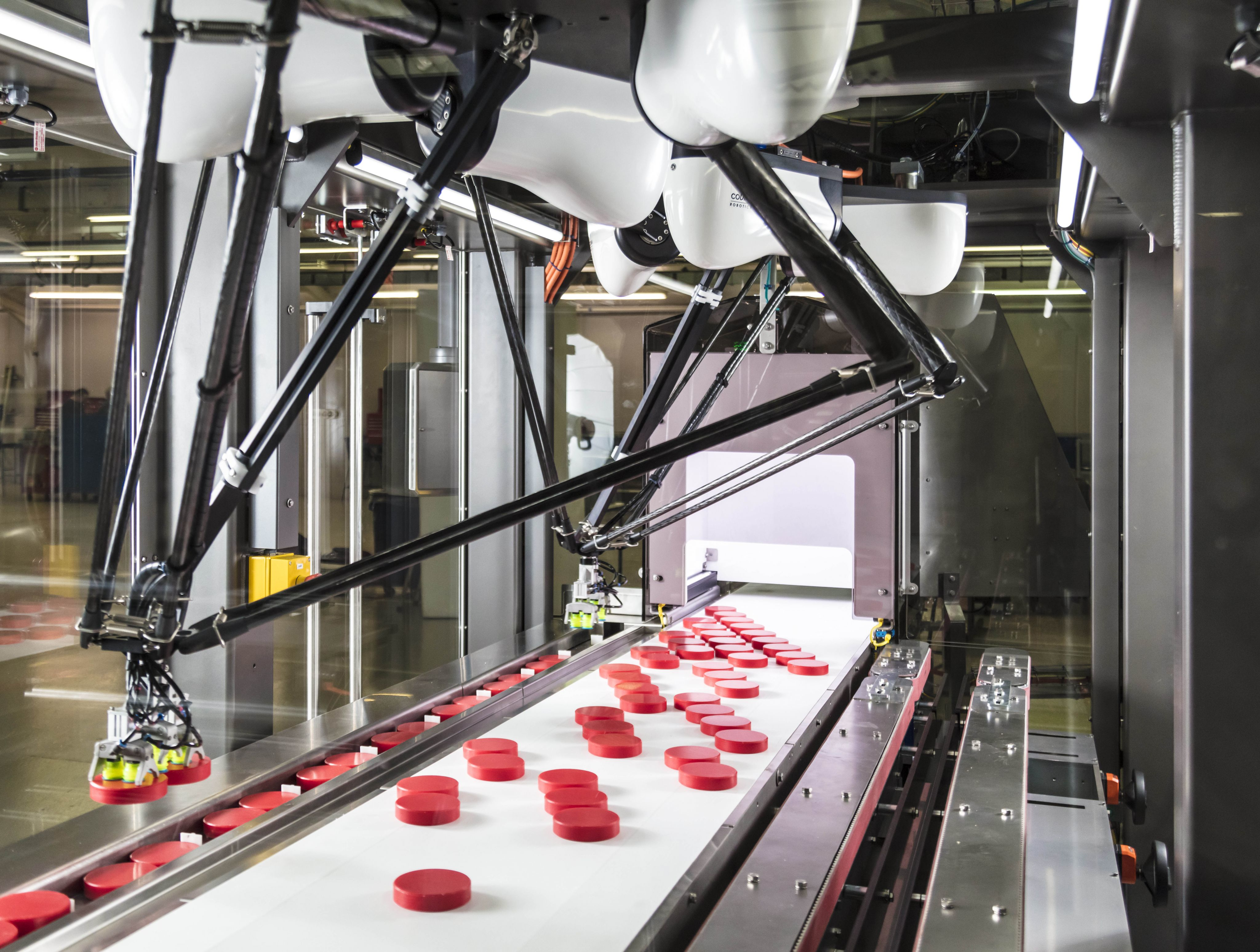 Bradman Lake's VGR Vision Guided Robot loading the infeed of a Flow Wrapper