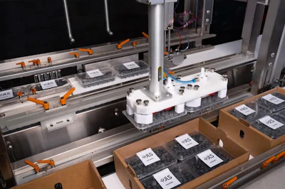 Case Packing Systems for Fresh Fruit