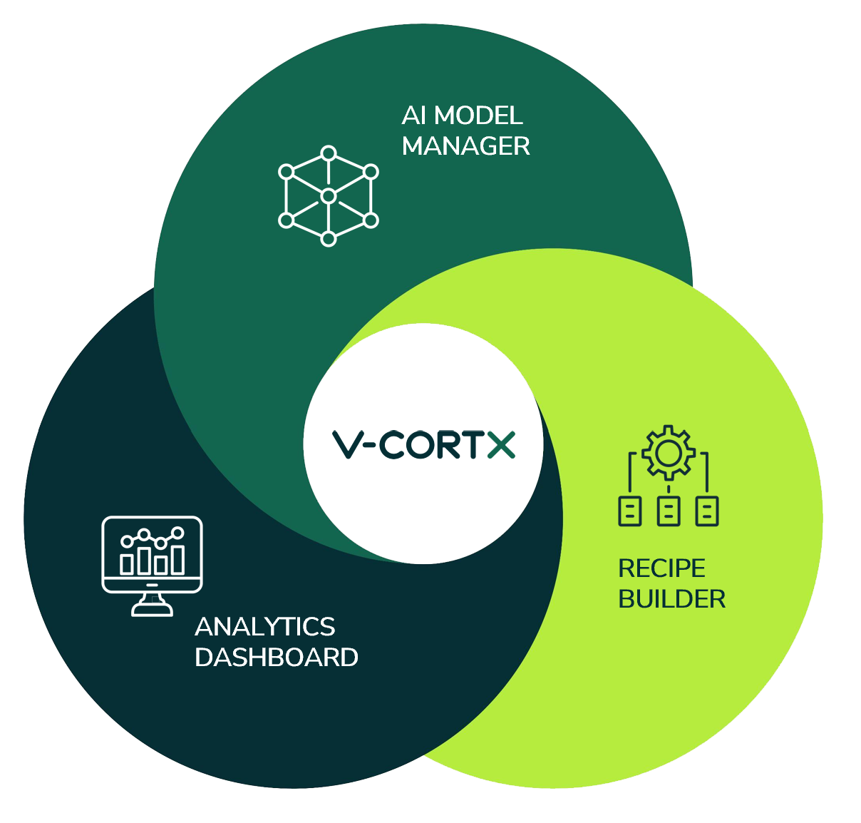 Vcortx Illustration Copy