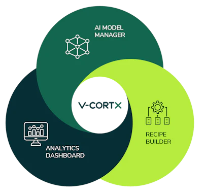 Vcortx Illustration Copy