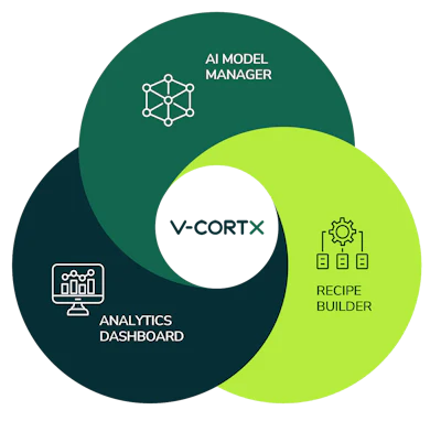 Vcortx Illustration Copy