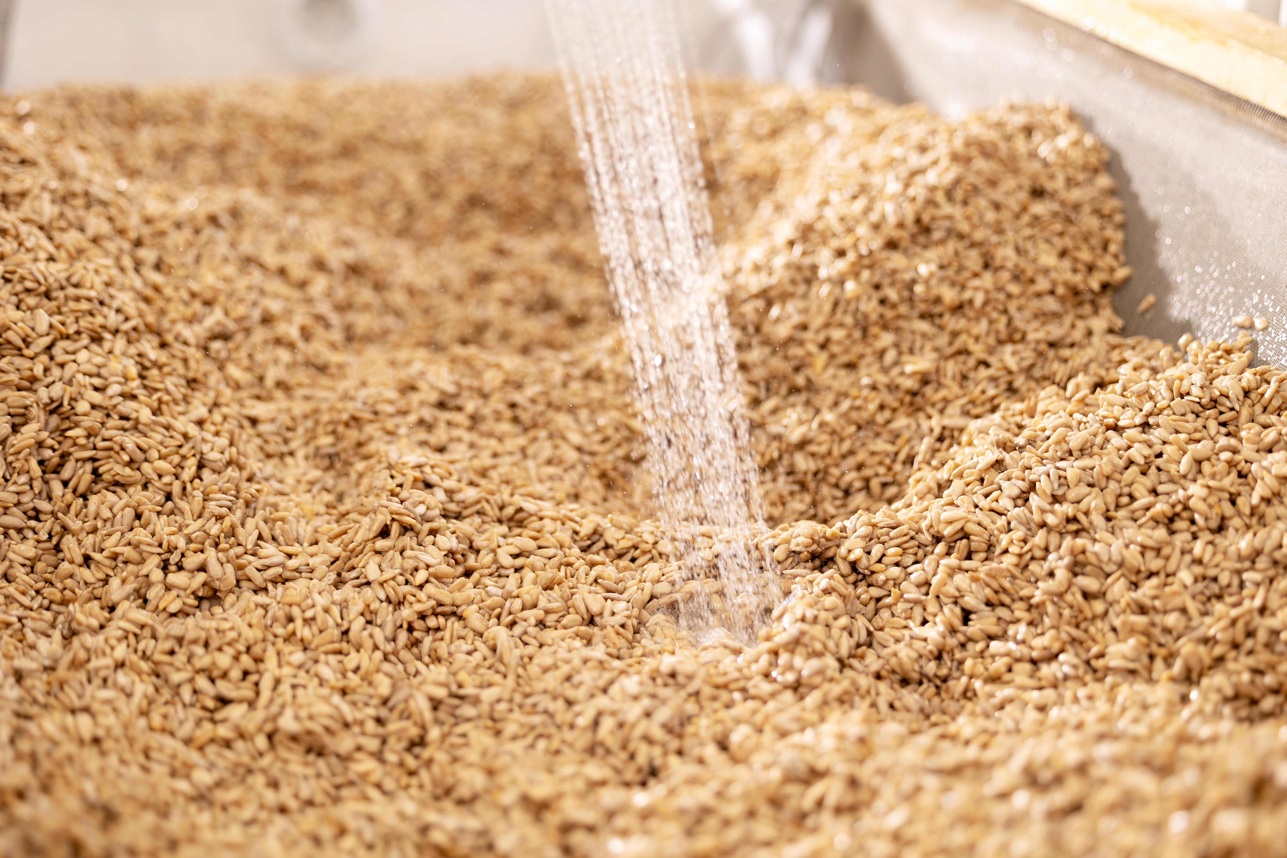 Moisture control is crucial, and byproducts must meet a defined moisture target before they can be upcycled to ensure consistent finished product moisture.