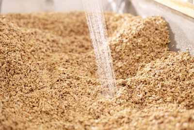 Moisture control is crucial, and byproducts must meet a defined moisture target before they can be upcycled to ensure consistent finished product moisture.