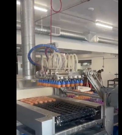 Part of the Yamasa system is a pick-and-place robotic arm that removes eggs from the reusable plastic flats.