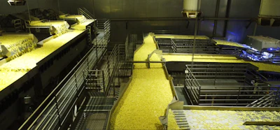 The shakers on Key's Iso-Flo vibratory conveyors help to distribute product for precise sorting.