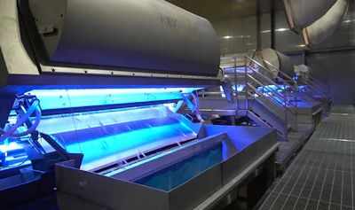 The company has VERYX sorting systems in both its wet and frozen areas to maximize product consistency.